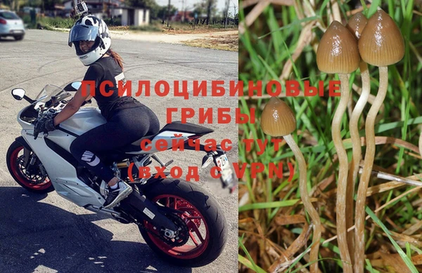 меф Горно-Алтайск