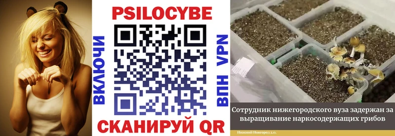 Галлюциногенные грибы MAGIC MUSHROOMS  Купить  Семилуки 